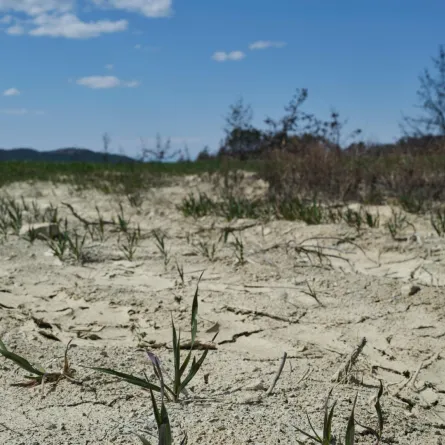 أرض تعاني من التصحر والجفاف