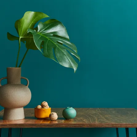 طلاء أخضر في غرفة المعيشة