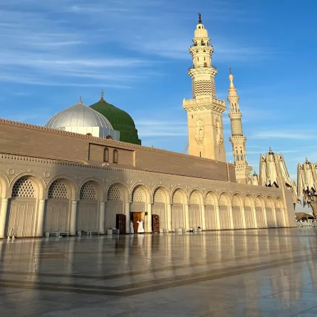 المدينة المنورة