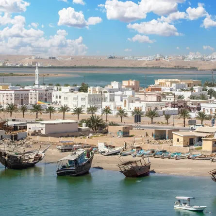 جانب من صور لؤلؤة سلطنة عُمان