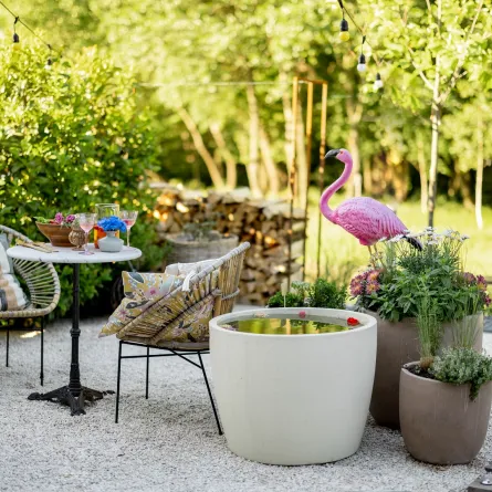 حديقة المنزل 