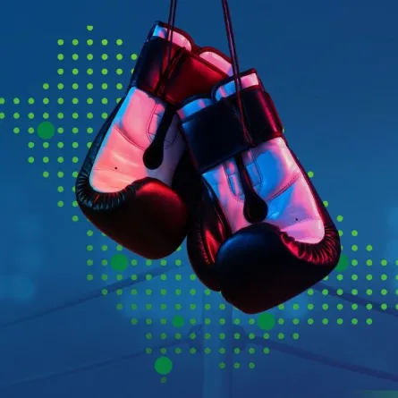 الركل والملاكمة