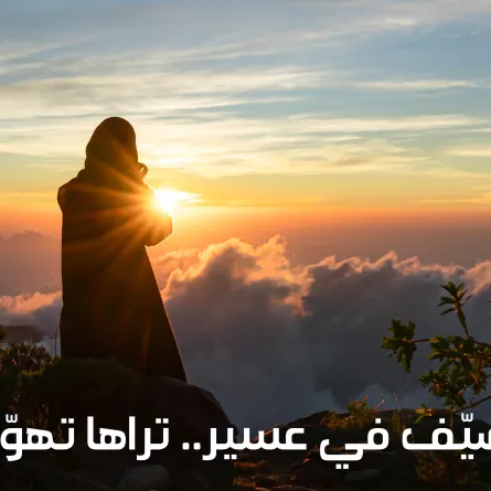 صيف عسير - مصدر الصورة واس