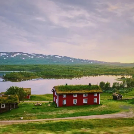 صورة تعبيرية