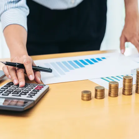 الاستقرار المالي في الشركات