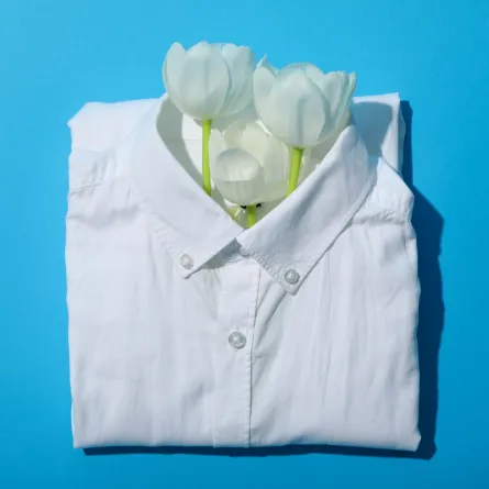 قميص ناصع البياض