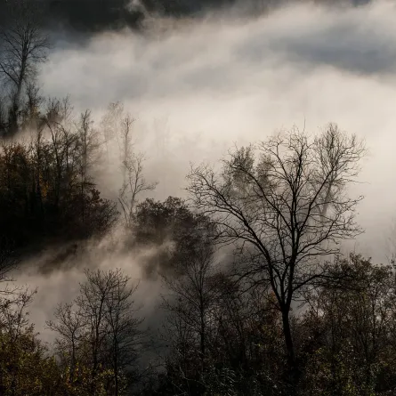 تفسير حلم رؤيا الضباب في المنام