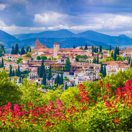 لقطة لحي البيَازين 