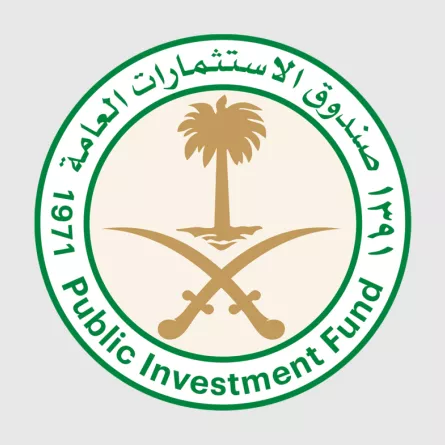 صندوق الاستثمارات العامة 