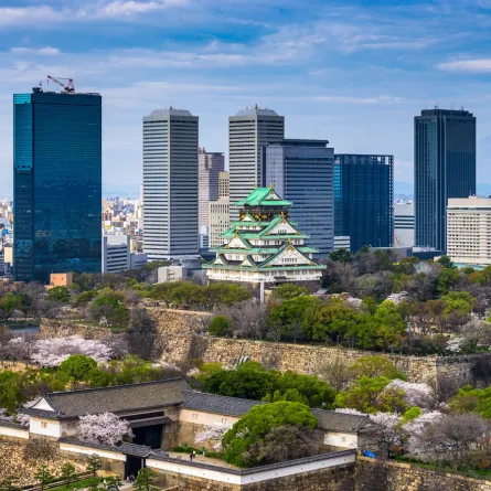 رحلة سياحية إلى أوساكا