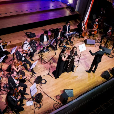 احتفالية أم كلثوم - الصورة من المركز الإعلامي للجهة المنظمة