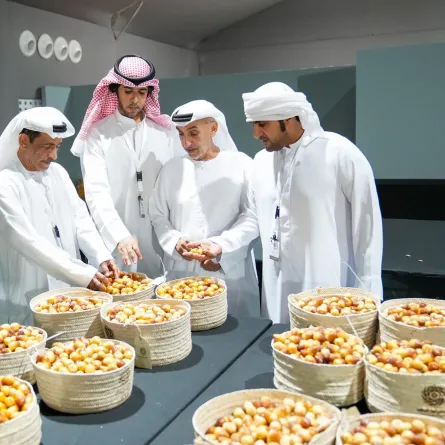 مهرجان ليوا للرطب. الصورة من wam