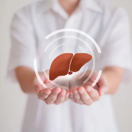 5 استراتيجيات ضرورية للحفاظ على صحة الكبد