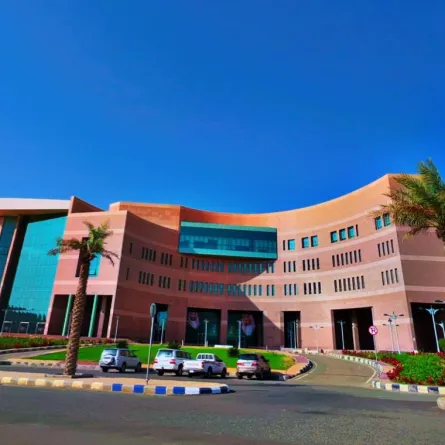 جامعة الباحة