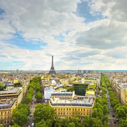 العاصمة باريس