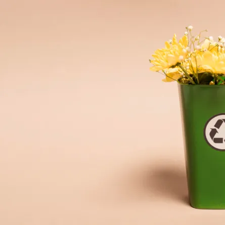 نصائح فعالة للتخلص من رائحة القمامة الكريهة في منزلك