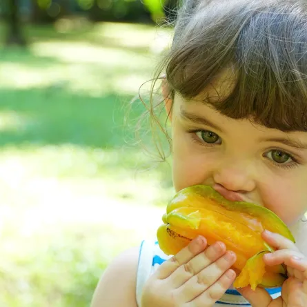 صورة طفلة تأكل المانجو