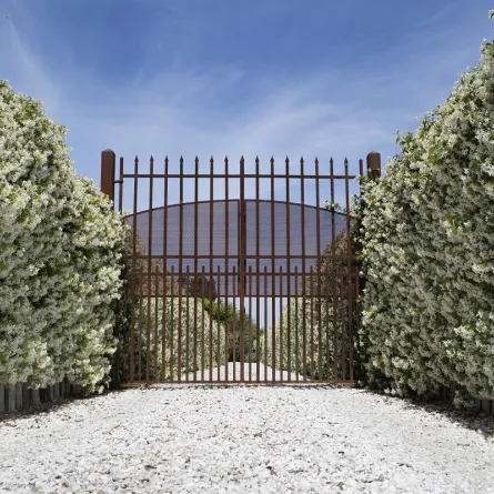 باب حديد تابع لحديقة منزلية