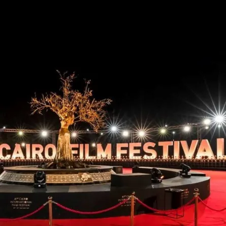 الصورة من المركز الصحفي لمهرجان القاهرة السينمائي الدولي