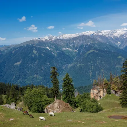 جبال الهيمالايا 