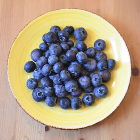 تجربتي مع التوت الأزرق