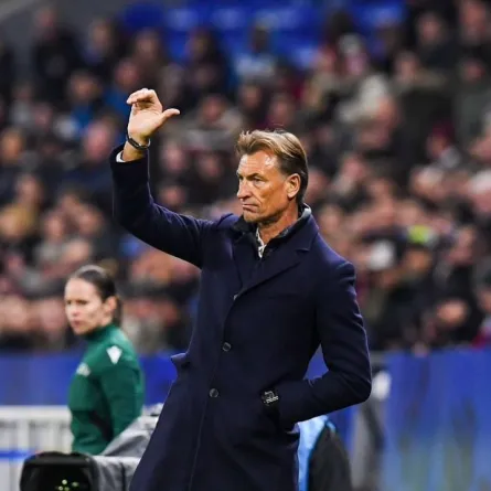 هيرفي رينارد 