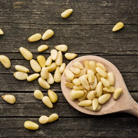 يحتوي الصنوبر على العديد من الفيتامينات والعناصر الغذائية المهمة للجسم