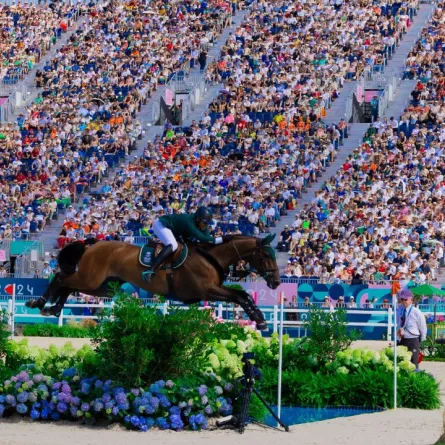  منافسات الفرق المختلطة 