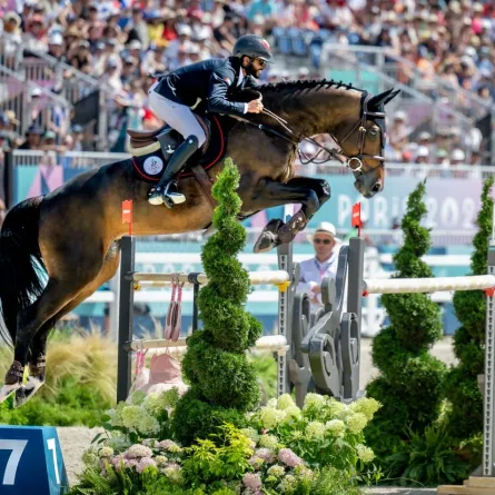 مشاركة الإمارات في قفز الحواجز. الصورة من wam