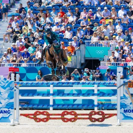 الفارس عبدالرحمن الراجحي