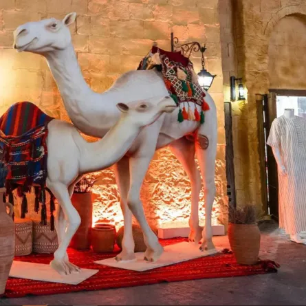 مبادرة عام الإبل 2024.. تجربة ثقافية تفاعلية تستقطب الزوار في السيتي ووك بموسم جدة