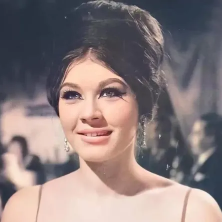 شويكار - صورة أرشيفية