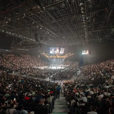 الفنون القتالية المختلطة في أبوظبي. الصورة من wam