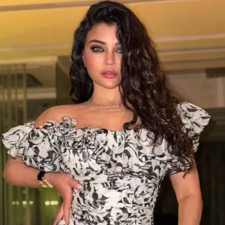 هيفاء وهبي - الصورة من حسابها على إنستغرام