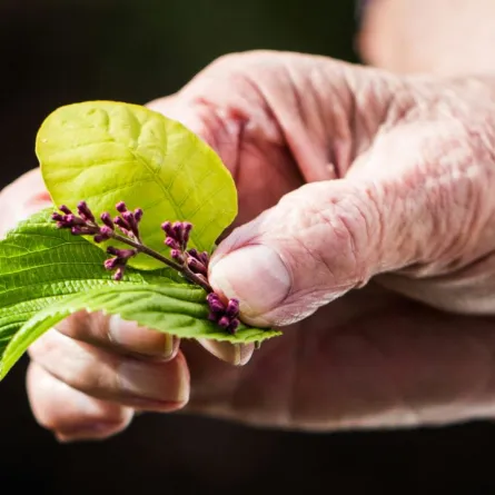 صورة تعبيرية 