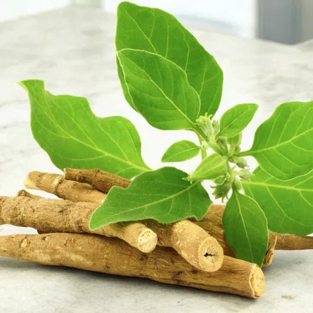 الأشواجندا من الأعشاب المعروفة بفوائدها الصحية العديدة