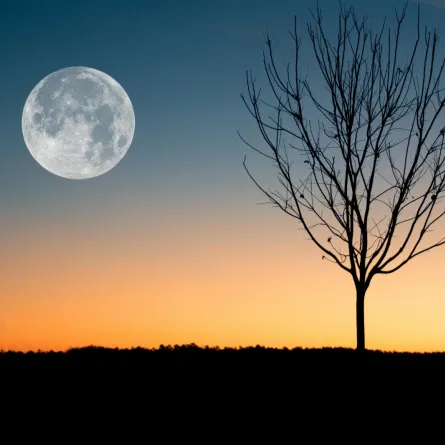 تفسير رؤيا القمر كبيراً في المنام