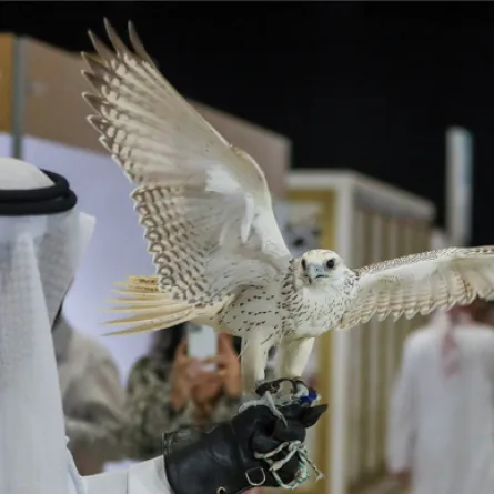 معرض أبوظبي للصيد والفرسية 2024. الصورة من مكتب أبوظبي الإعلامي