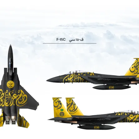 الطائرات المشاركة في اليوم الوطني