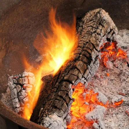 تفسير حلم رؤيا الرماد في المنام