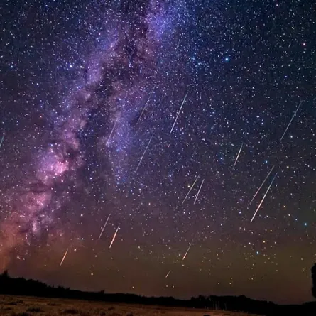 شهب. الصورة من الحساب الرسمي لدار التقويم القطري على منصة x