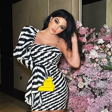 هيفاء وهبي ترتدي طبعة الحمار الوحشي - الصورة من حسابها على انستغرام