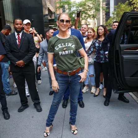 سيلين ديون Celine Dion-  (مصدر الصورة   Jason Howard/Bauer-Griffin/GC Images)