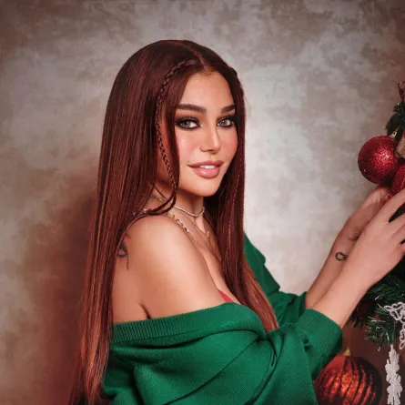 هيفاء وهبي - الصورة من صفحتها على الفيس بوك