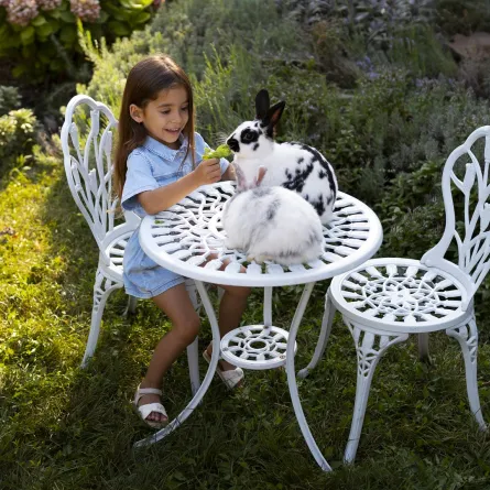 صورة لطفلة تلعب مع حيوانها الأليف