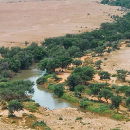 محمية الملك عبدالعزيز الملكية