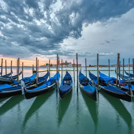 الجنادل في فينيسيا