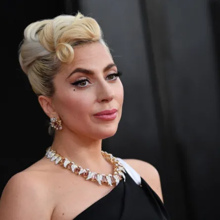 ليدي غاغا في MGM Grand Garden Arena في لاس فيغاس (Lady Gaga at the MGM Grand Garden Arena in Las Vegas). مصدر الصورة: ANGELA WEISS / AFP