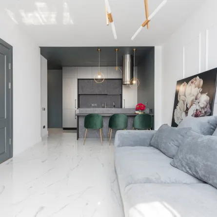 منطقة معيشة مقتوحة على المطبخ، مع باب خشب مطلي بطلاء رمادي