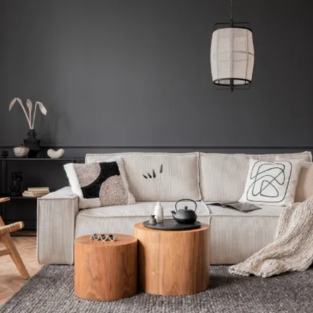 غرفة جلوس معاصرة، مع جدار مطلي بطلاء أسود